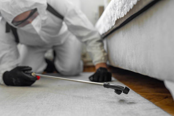 Professional Cockroach Control technician working in Rancho Santa Fe, CA