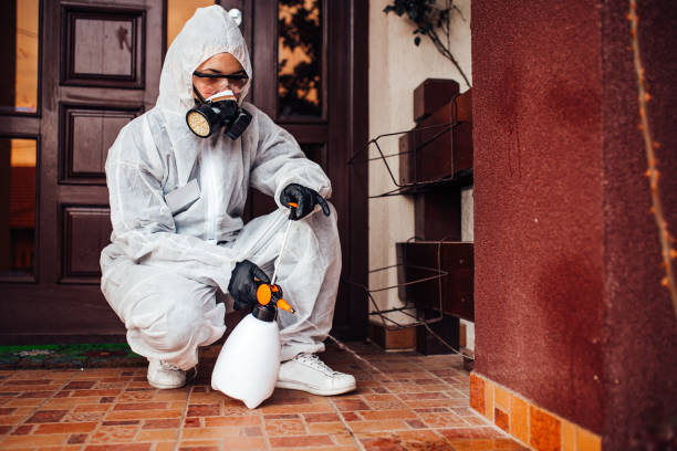Reliable Cockroach Control contractor in Rancho Santa Fe, CA by Nex Pest Control