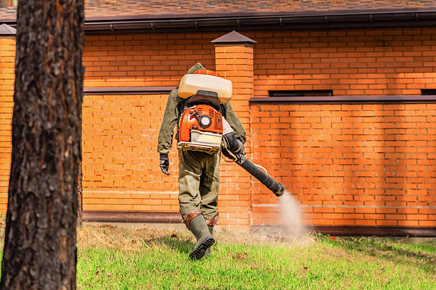 Trusted Bed Bug Control service in Rancho Santa Fe, CA - Nex Pest Control
